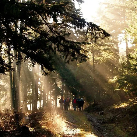 Mandarin Oriental, Costa Navarino Pylos