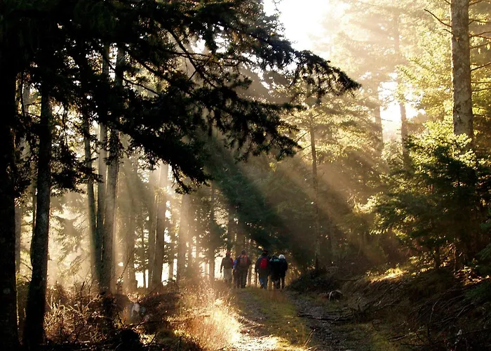 Mandarin Oriental, Costa Navarino Pylos